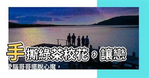 江念 江衡 周寂|瞬间时空 瞬间时空（江念江衡周寂）全文免费阅读无弹窗大结局